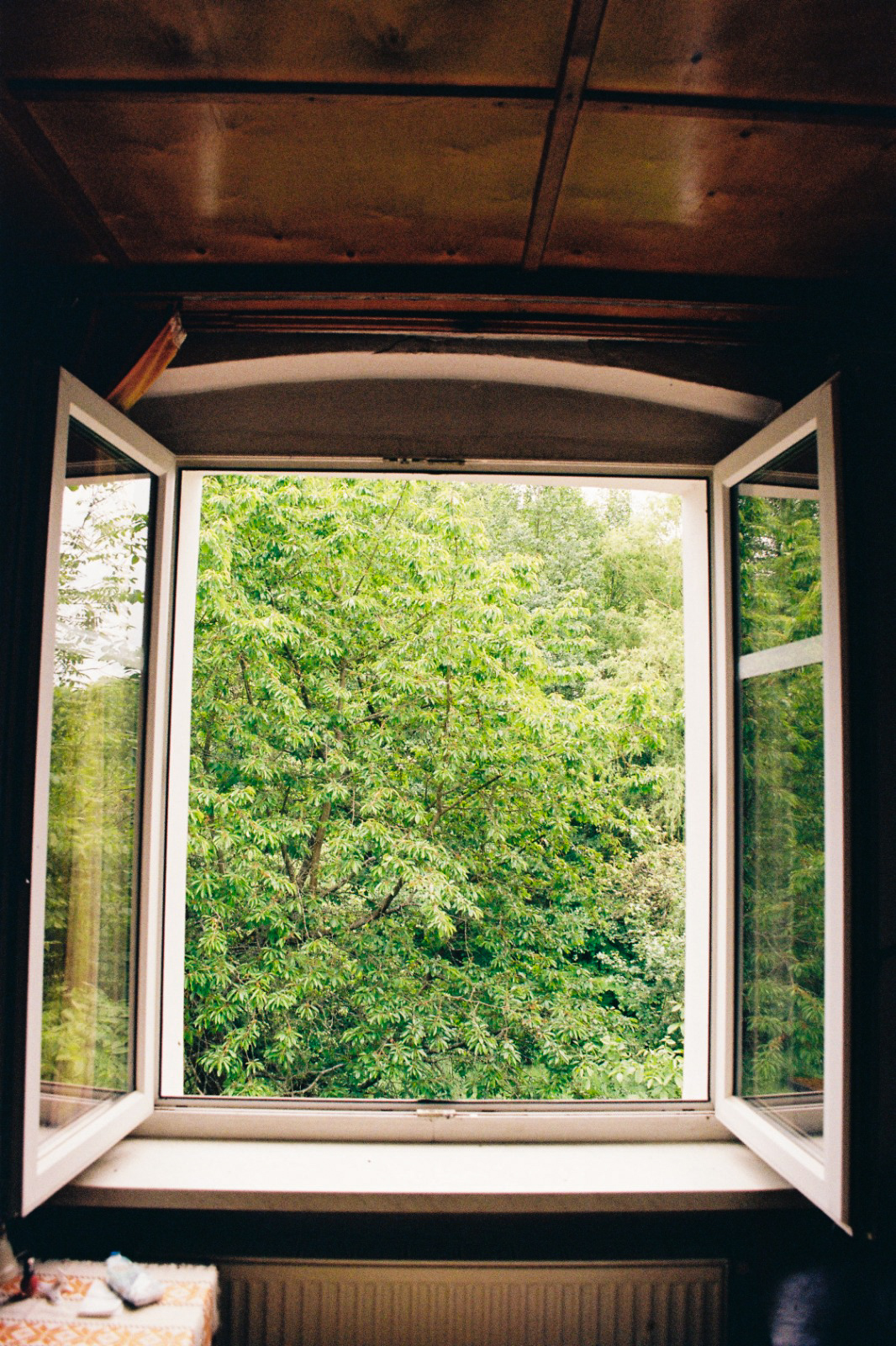 Chasing the Unexpected: The Magic of Analog Photography