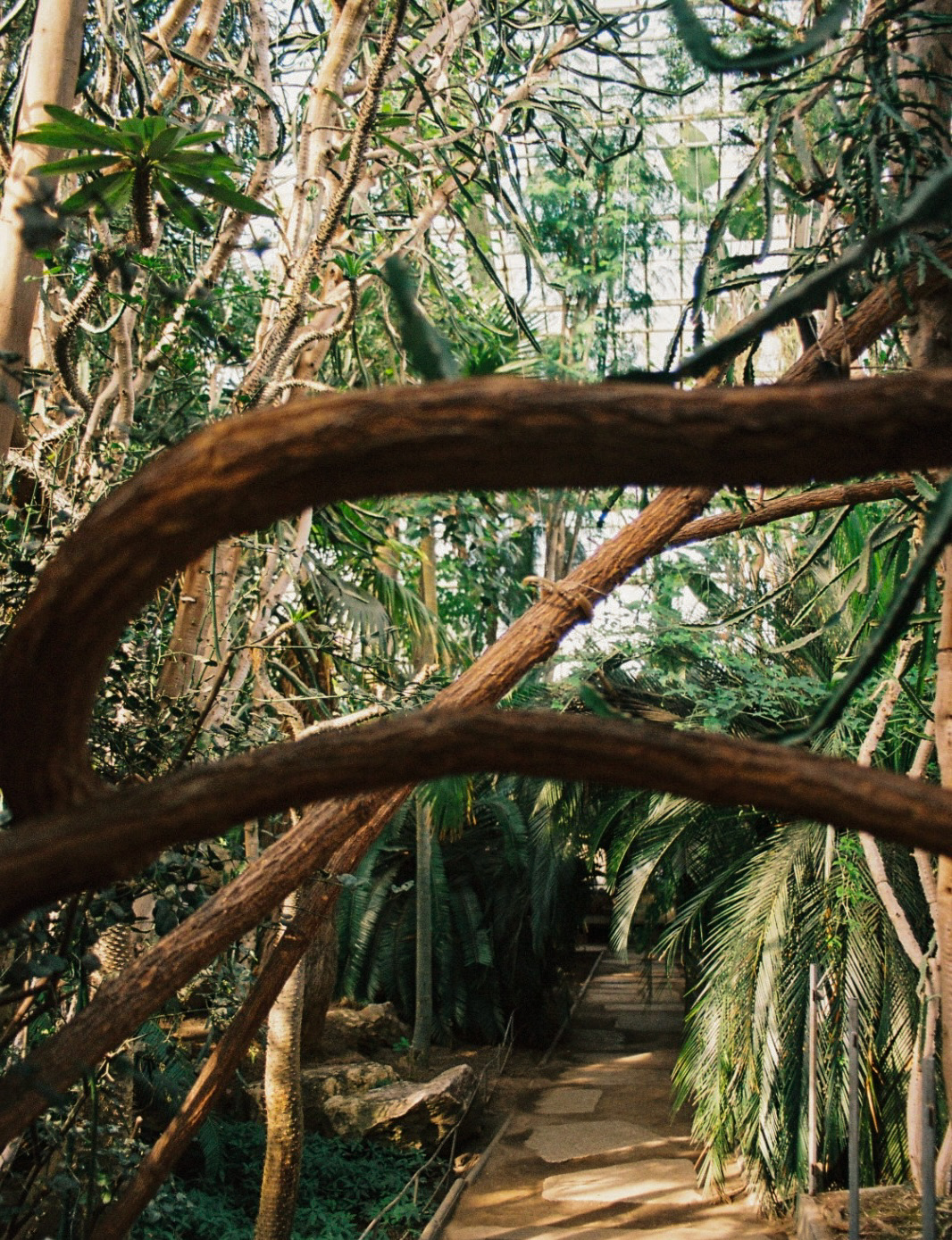 Chasing the Unexpected: The Magic of Analog Photography