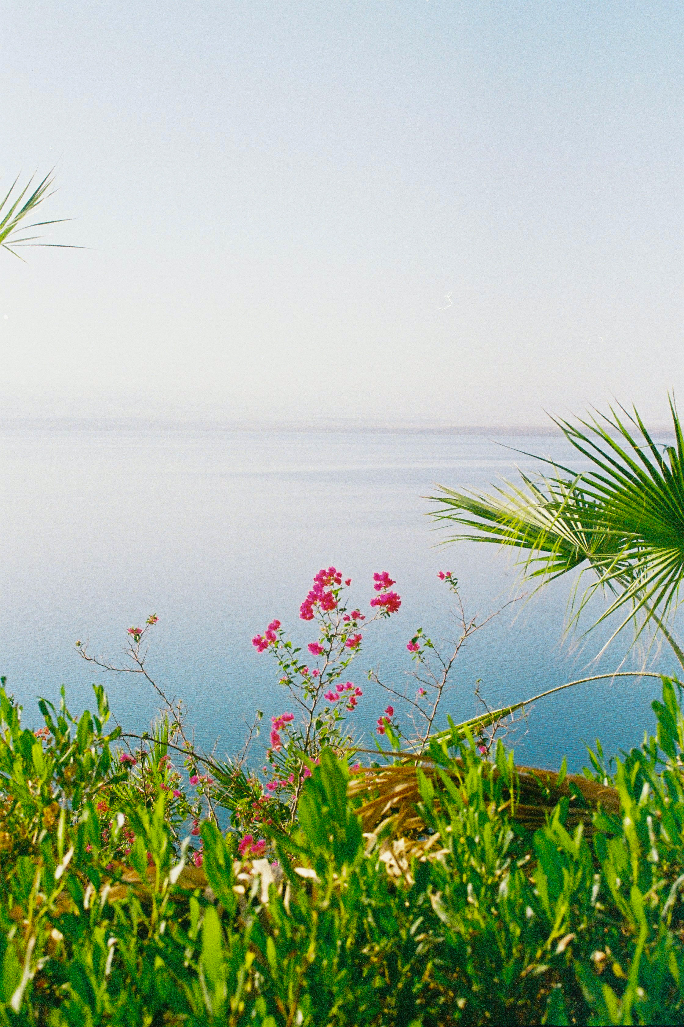 Chasing the Unexpected: The Magic of Analog Photography