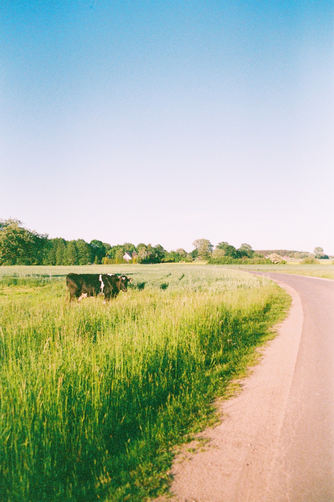 Chasing the Unexpected: The Magic of Analog Photography