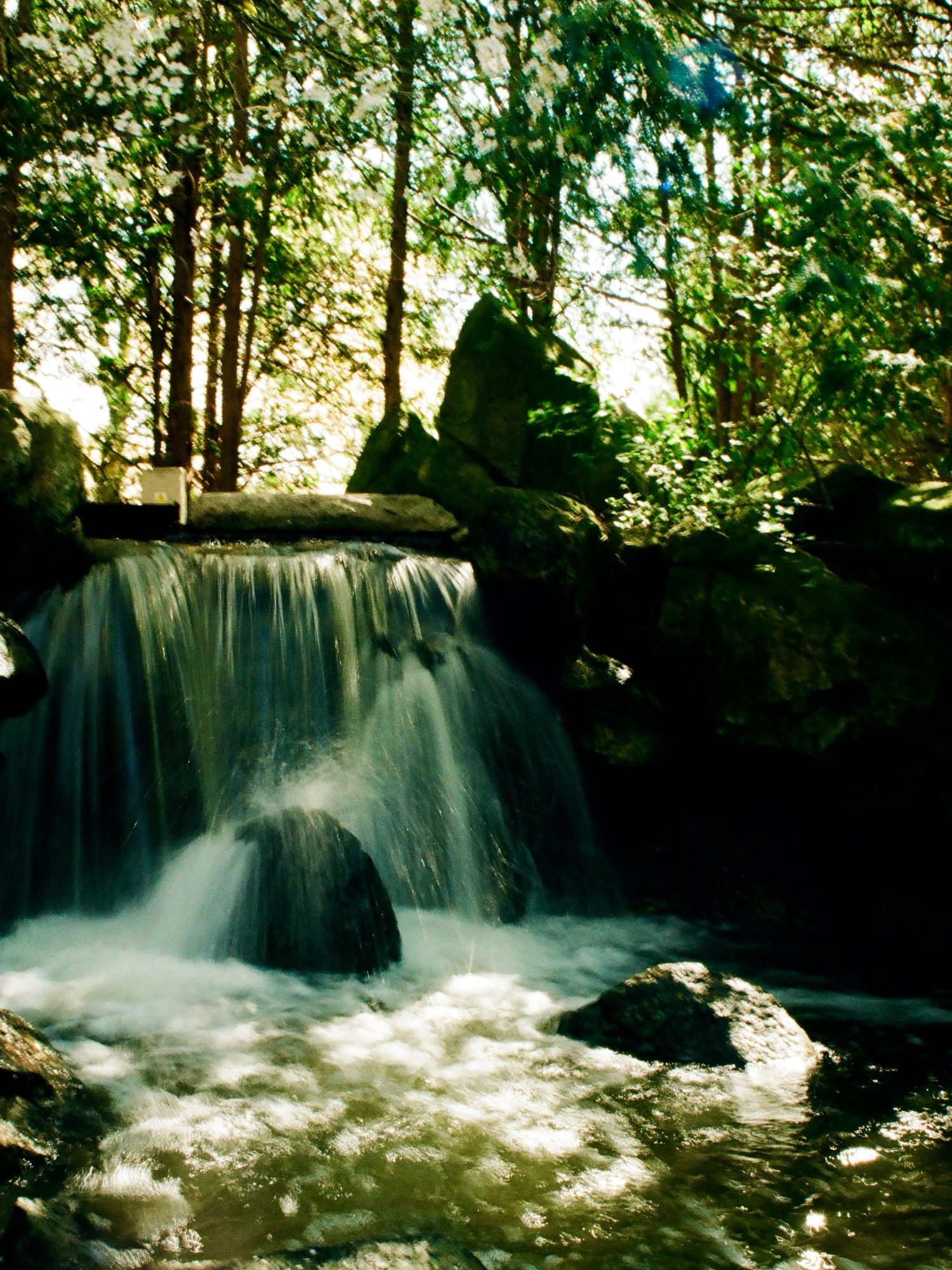 Presence, Patience, and the Language of Light