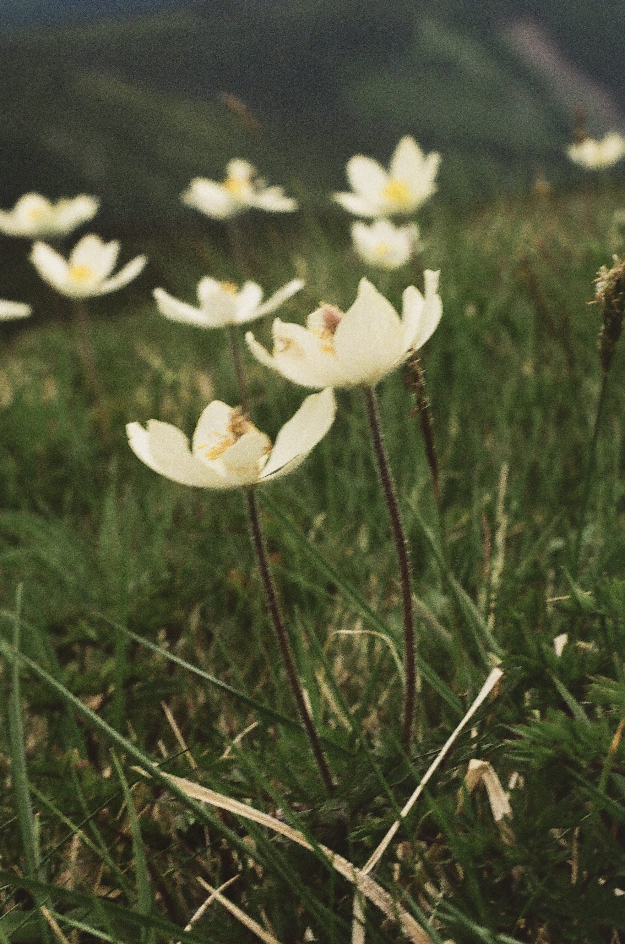 Presence, Patience, and the Language of Light