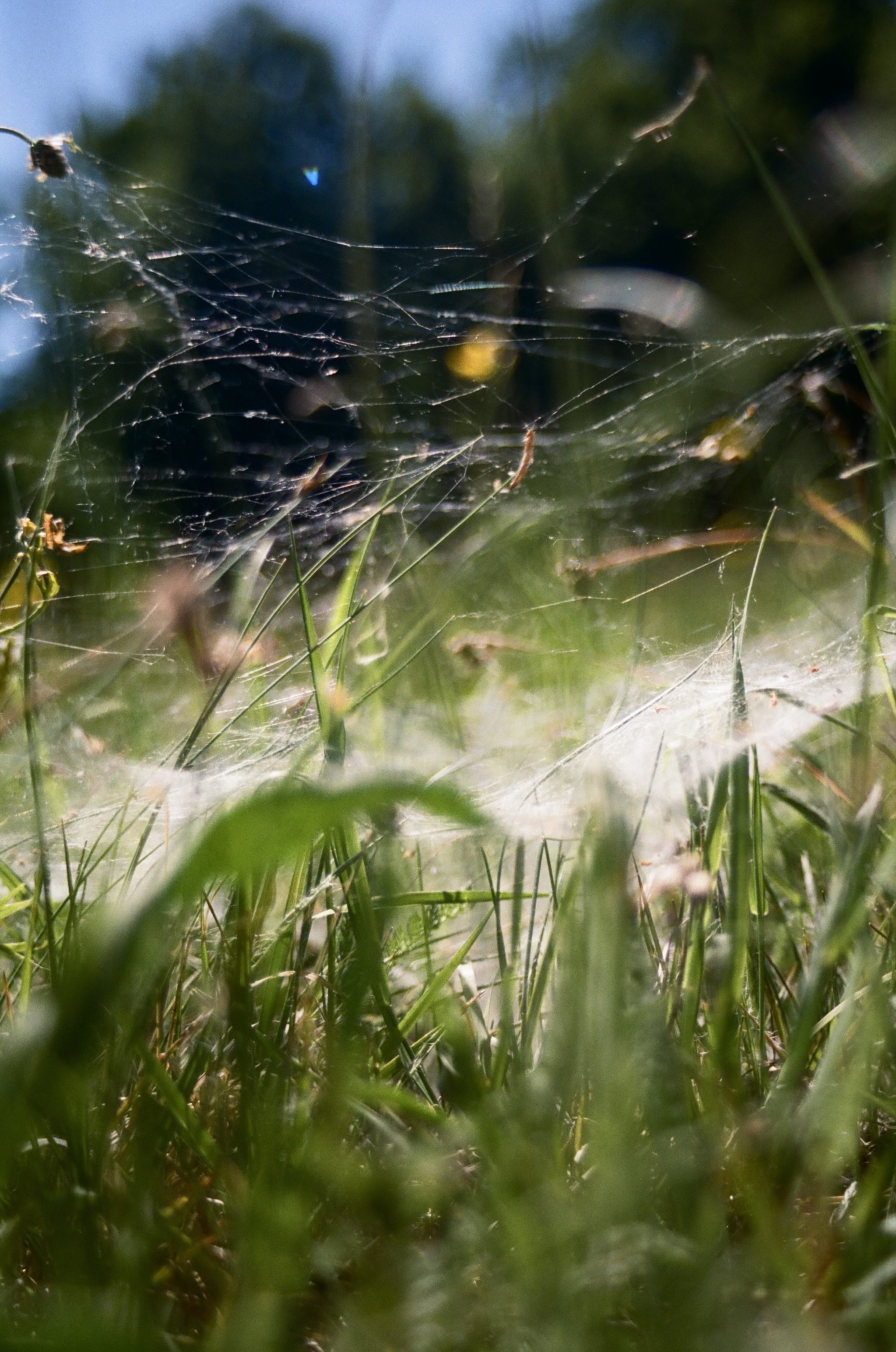 Presence, Patience, and the Language of Light