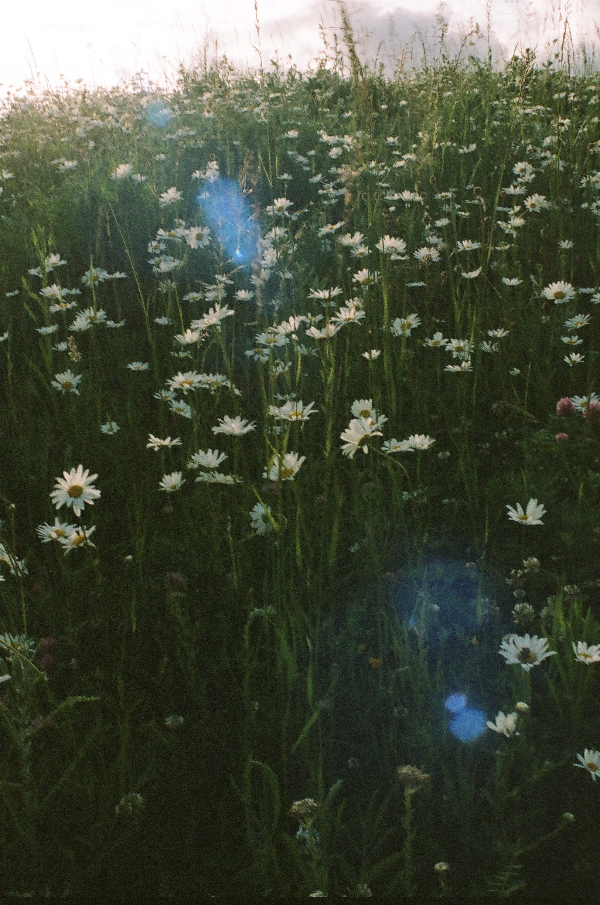 Presence, Patience, and the Language of Light