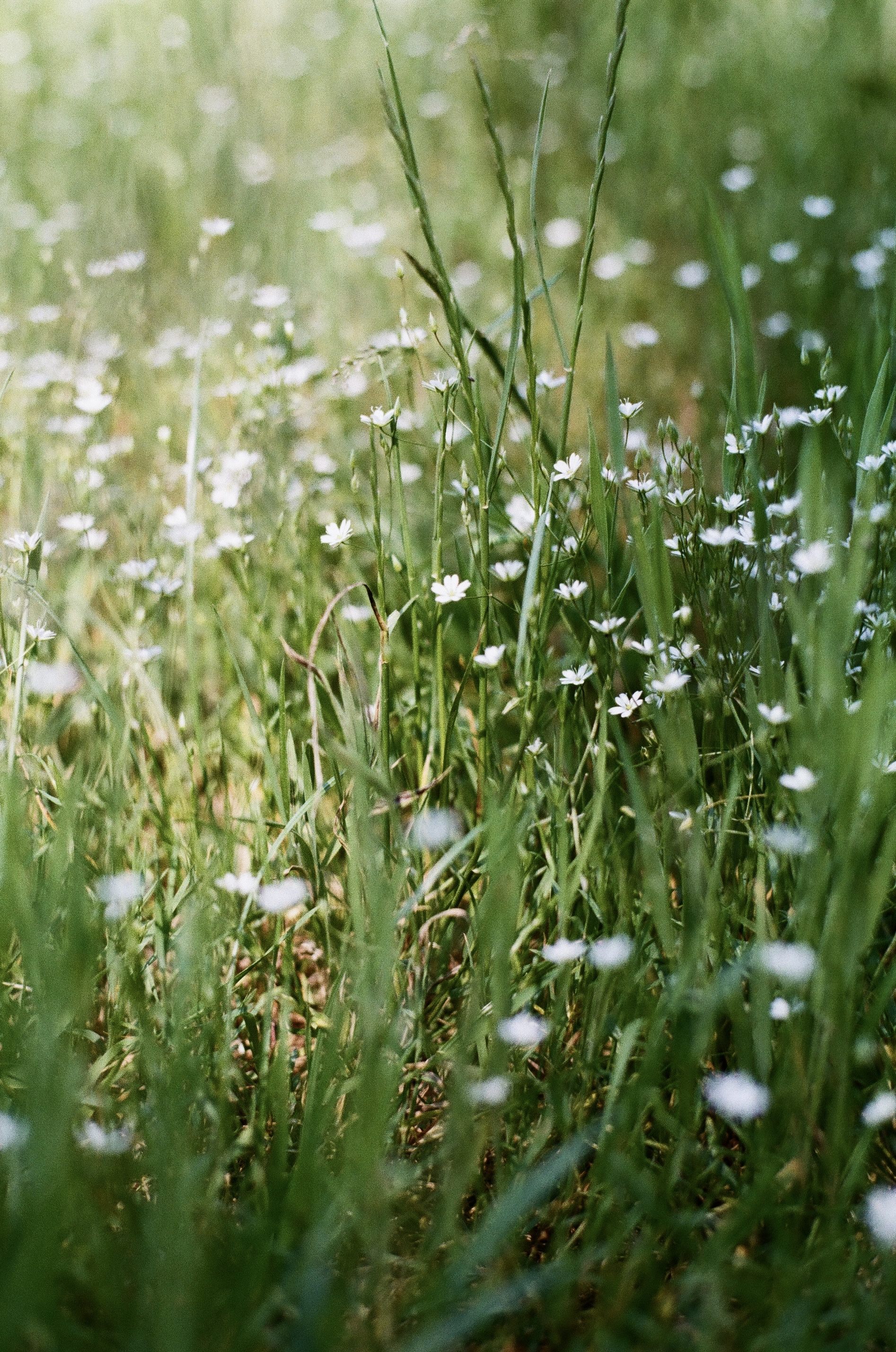 Presence, Patience, and the Language of Light