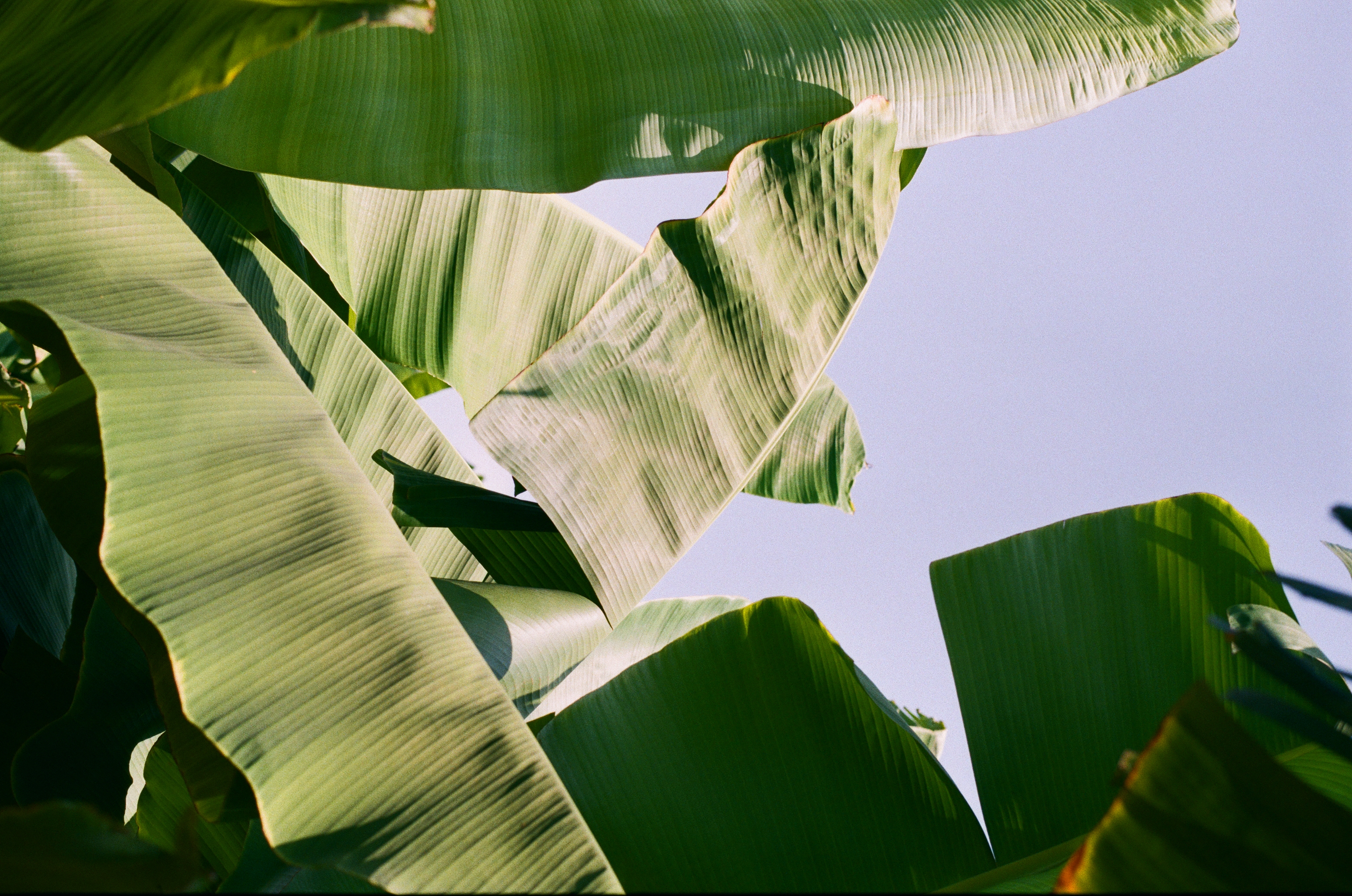 The Art of Slowing Down: An Analog Perspective