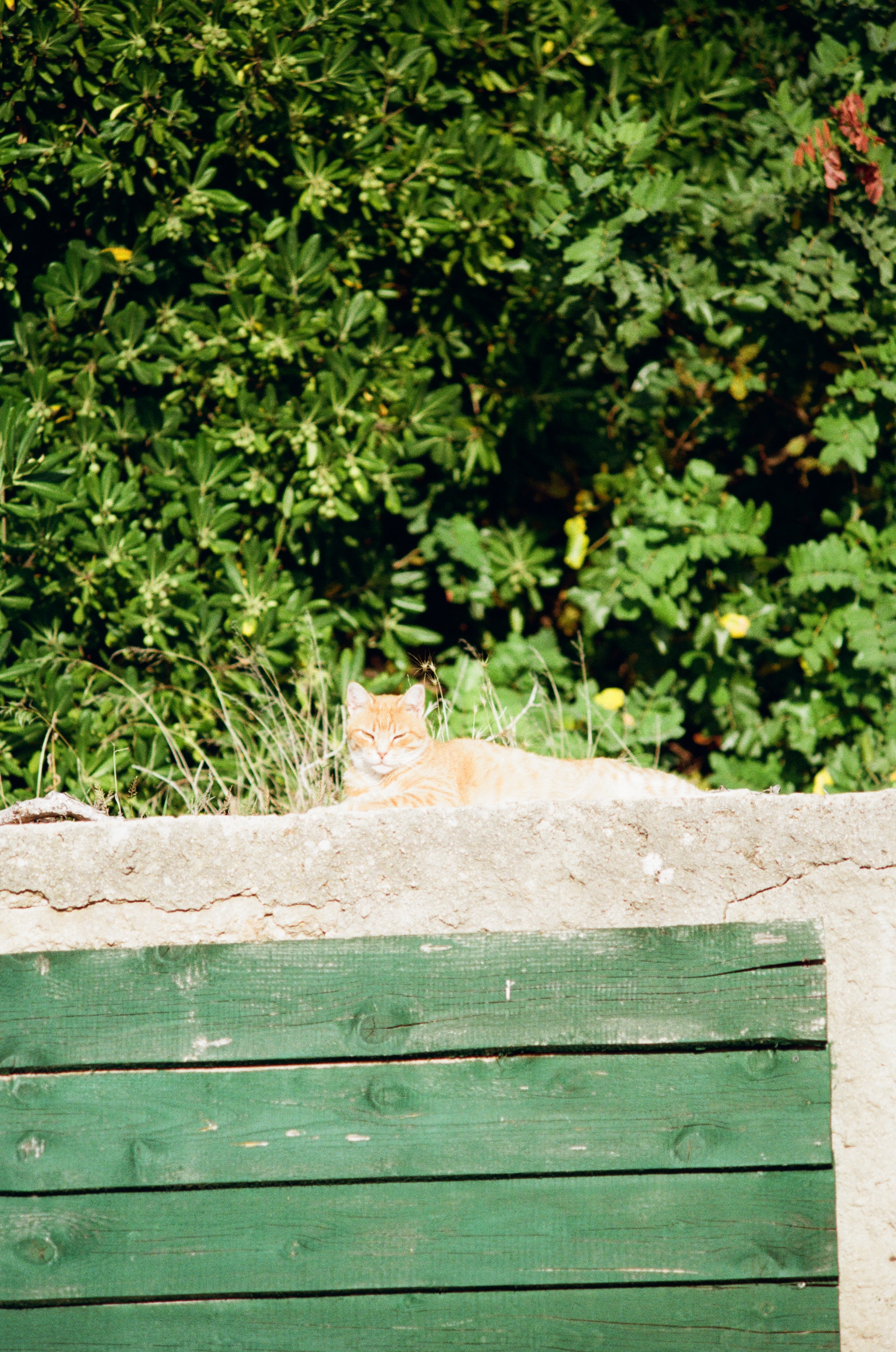 The Art of Slowing Down: An Analog Perspective